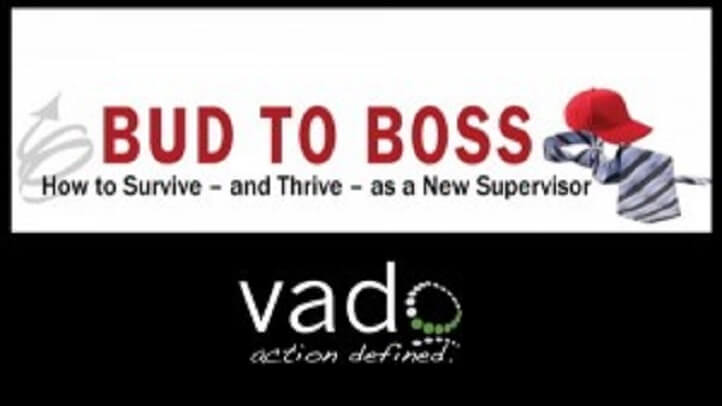 Bud to Boss Toolkit: Coaching for Success: For Business and Project Management